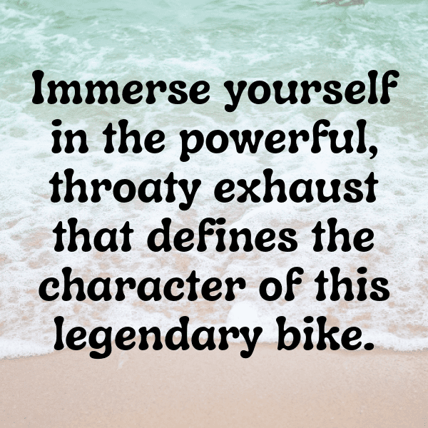 285+ Triumph Bonneville Captions for Instagram (Short, Trending & Viral) 12 Triumph Bonneville Captions Photo for Instagram-Syrsvk