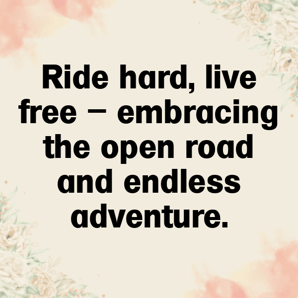 Triumph Thruxton Captions Image for Instagram-kiUoea