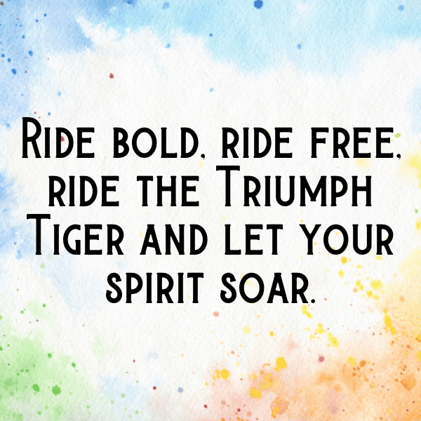 231+ Triumph Tiger 900 Captions for Instagram (Fresh & Trendy) 9 Triumph Tiger 900 Captions Image for Instagram-jHSwSl