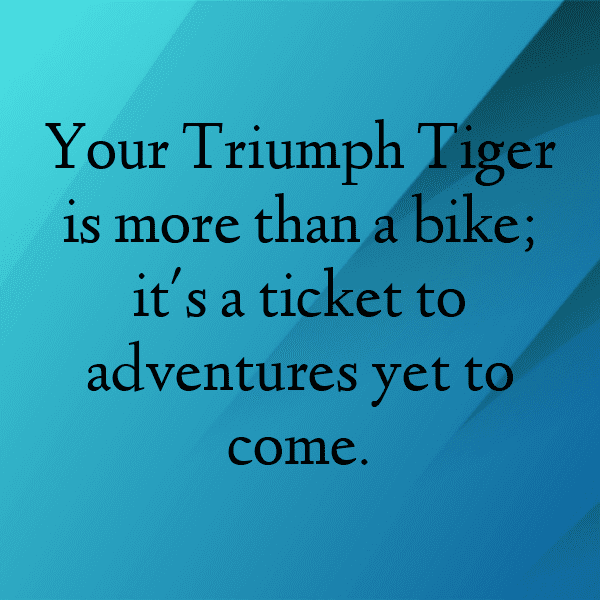231+ Triumph Tiger 900 Captions for Instagram (Fresh & Trendy) 14 Triumph Tiger 900 Captions Image for Instagram-jJzx03