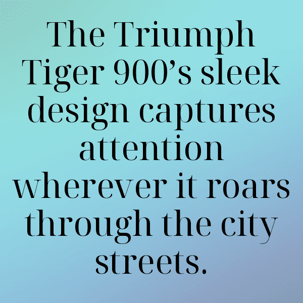 231+ Triumph Tiger 900 Captions for Instagram (Fresh & Trendy) 10 Triumph Tiger 900 Captions Photo for Instagram-vbj37n