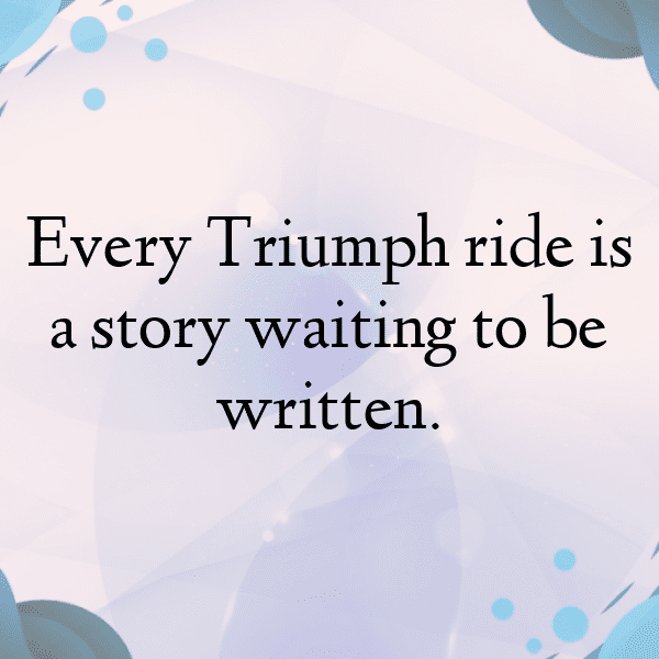 231+ Triumph Tiger 900 Captions for Instagram (Fresh & Trendy) 12 Triumph Tiger 900 Captions Photo for Instagram-ZIBsMW
