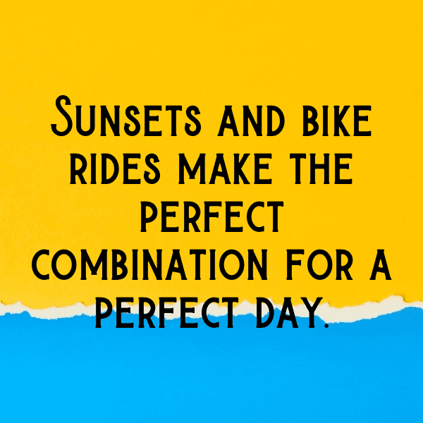 247+ Triumph Tiger Captions for Instagram (Short, Trending & Viral) 5 Triumph Tiger Captions Image for Instagram-hKdMHH