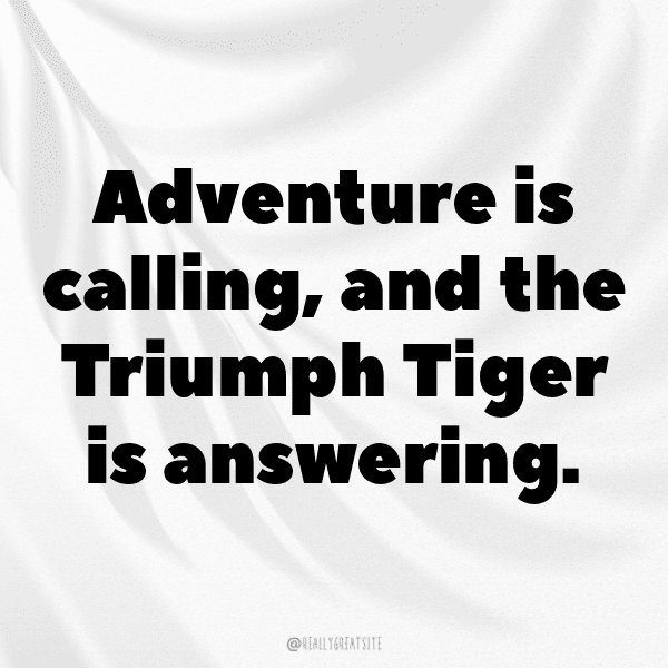 247+ Triumph Tiger Captions for Instagram (Short, Trending & Viral) 10 Triumph Tiger Captions Image for Instagram-NcQDKx