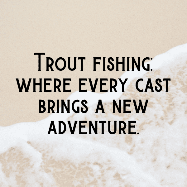345+ Trout Captions For Instagram (Fresh & Trendy) 12 Trout Captions Image For Instagram-8hFTct