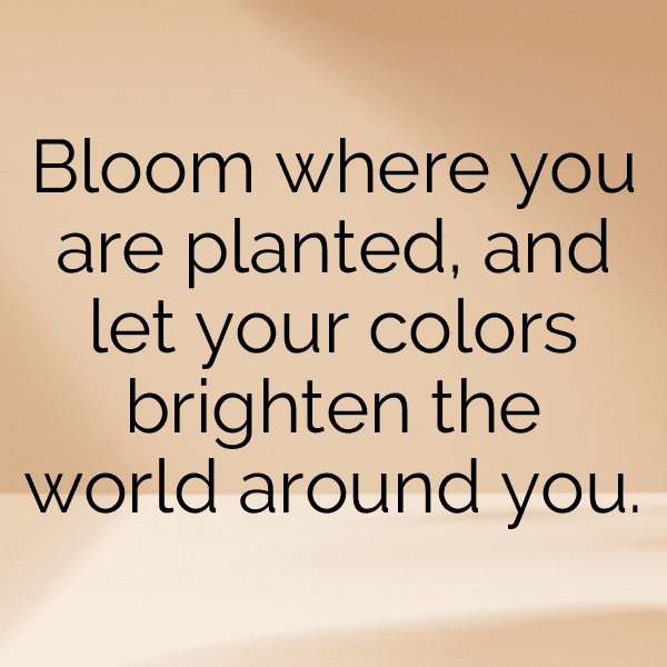 235+ Tuberose Captions For Instagram (Fresh & Trendy) 8 Tuberose Captions Image For Instagram-Agz2Ar