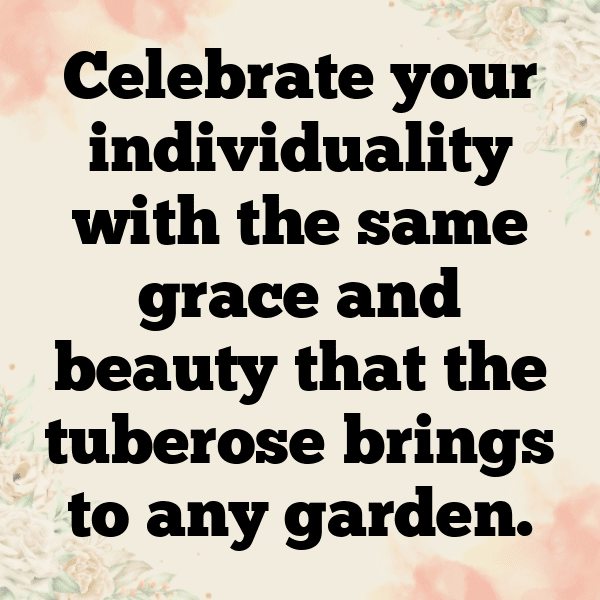 235+ Tuberose Captions For Instagram (Fresh & Trendy) 7 Tuberose Captions Image For Instagram-PMBT22