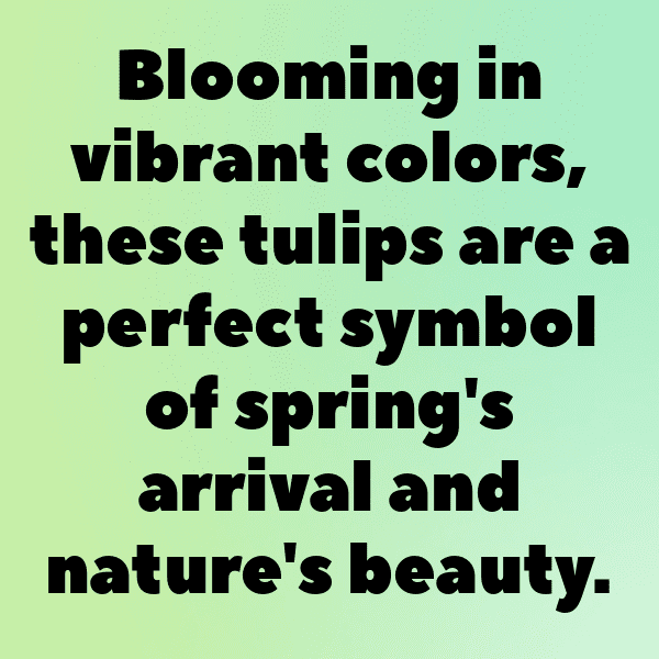 235+ Tuberose Captions For Instagram (Fresh & Trendy) 15 Tuberose Captions Image For Instagram-rbmjiH