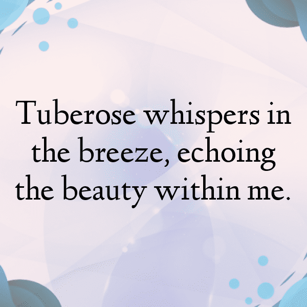 235+ Tuberose Captions For Instagram (Fresh & Trendy) 4 Tuberose Captions Photo For Instagram-A9TrED