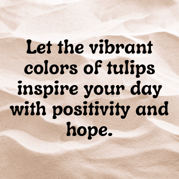 220+ Tulip Captions For Instagram (Short, Trending & Viral) 13 Tulip Captions Image For Instagram-8u0g9K