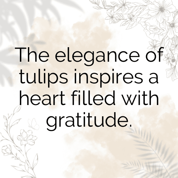 220+ Tulip Captions For Instagram (Short, Trending & Viral) 7 Tulip Captions Image For Instagram-nz3606