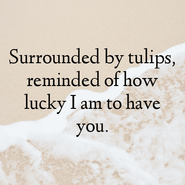 220+ Tulip Captions For Instagram (Short, Trending & Viral) 10 Tulip Captions Image For Instagram-t5BirV