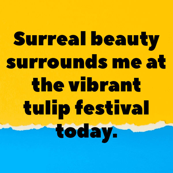 220+ Tulip Captions For Instagram (Short, Trending & Viral) 12 Tulip Captions Photo For Instagram-vFp87R