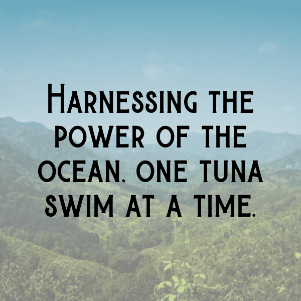 213+ Tuna Captions For Instagram (Fresh & Trendy) 4 Tuna Captions Image For Instagram-X3jgCd