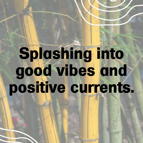 213+ Tuna Captions For Instagram (Fresh & Trendy) 8 Tuna Captions Photo For Instagram-041sla