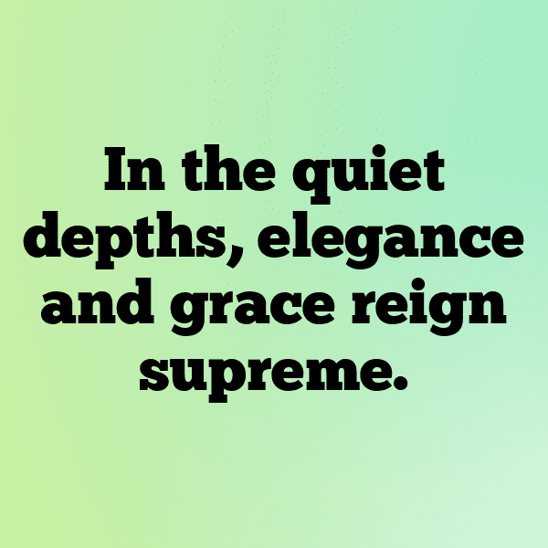 Turtle Captions Image For Instagram-arrkTr