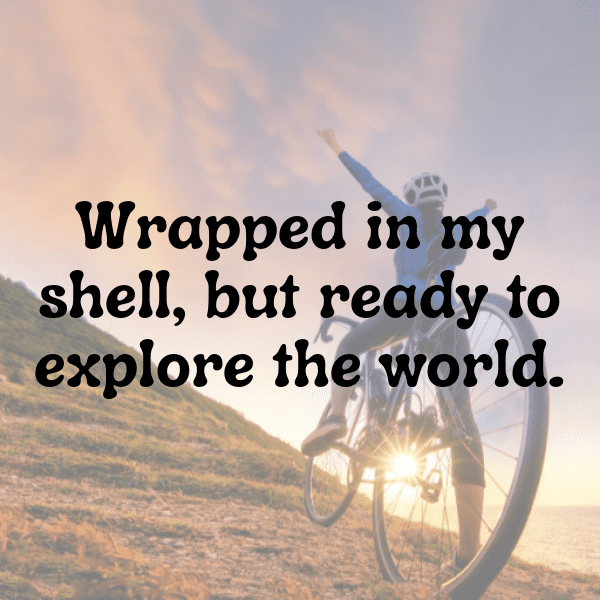 Turtle Captions Image For Instagram-IWR6Pb