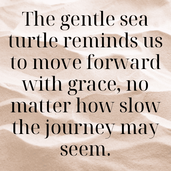 Turtle Captions Photo For Instagram-joeUy0