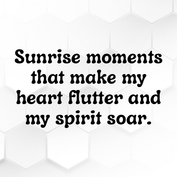 326+ Twilight Captions for Instagram (Fresh & Trendy) 11 Twilight Captions Photo for Instagram-1SWl8z