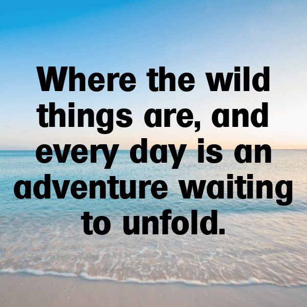 284+ Uganda Captions For Instagram In 2025 5 Uganda Captions Image For Instagram-b4YZxa