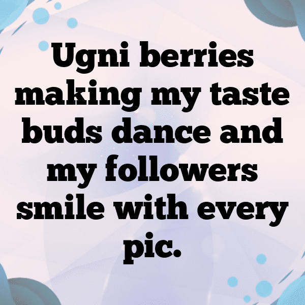 319+ Ugni Berry Captions For Instagram (Fresh & Trendy) 5 Ugni Berry Captions Photo For Instagram-89DMk0
