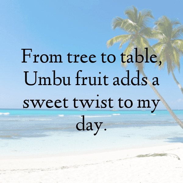 Umbu Fruit Captions Image For Instagram-alr32S