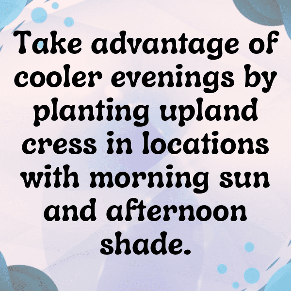 Upland Cress Captions Image For Instagram-MsA7RJ