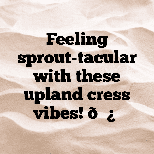 Upland Cress Captions Photo For Instagram-8I8ByL