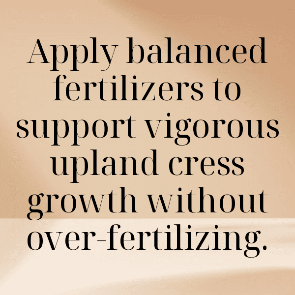 Upland Cress Captions Photo For Instagram-TGLESh