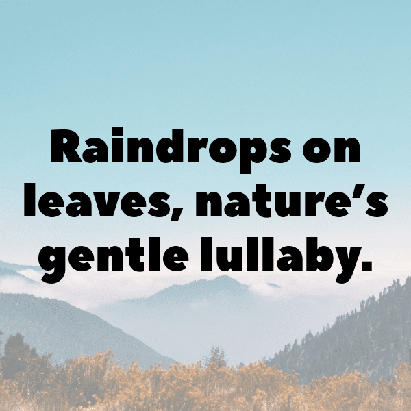 Urban Nature Captions Image for Instagram-nOe8Yo