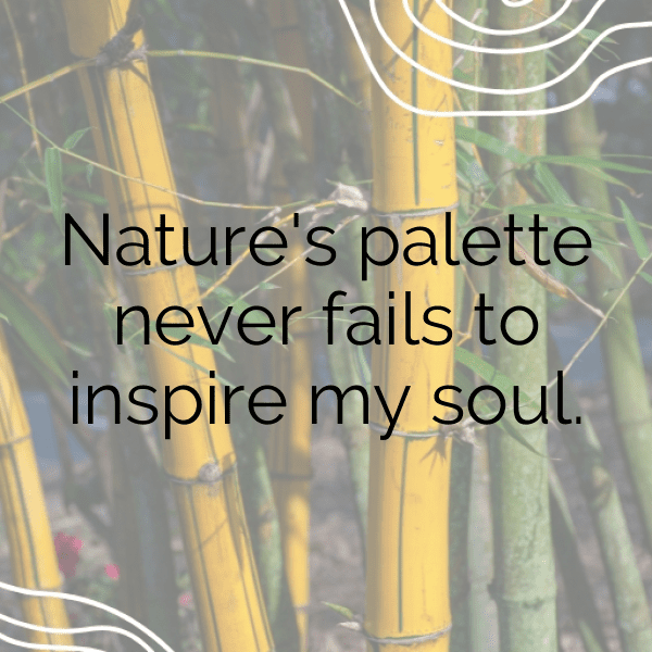 Urban Nature Captions Image for Instagram-Sj3osU