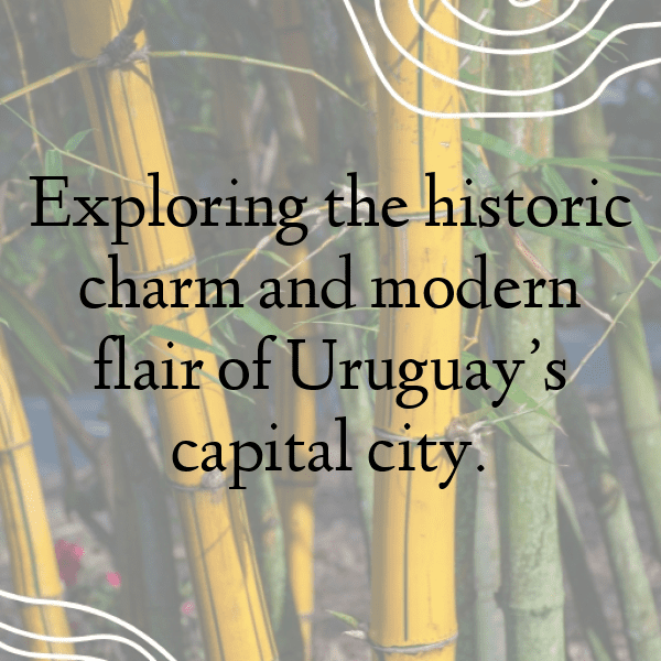 221+ Uruguay Captions For Instagram In 2025 10 Uruguay Captions Image For Instagram-2f8gsK