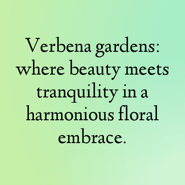 Verbena Captions Image For Instagram-4JQ8Nv