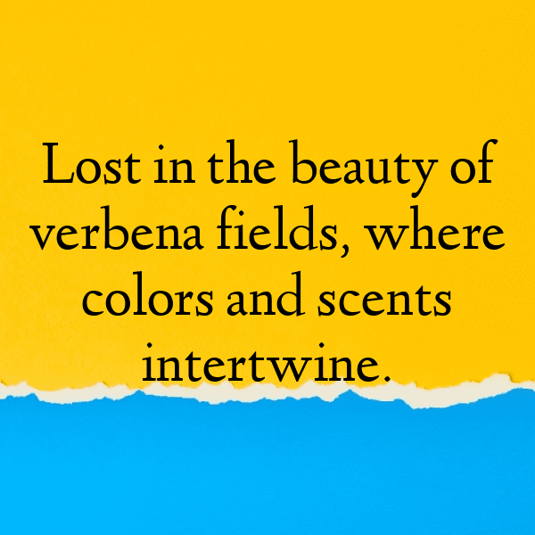 Verbena Captions Photo For Instagram-PcS4IA