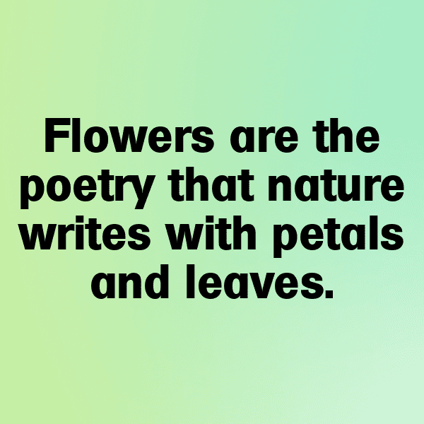 Vinca Captions Image For Instagram-7rlfc9