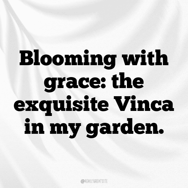 Vinca Captions Image For Instagram-IIhlW5