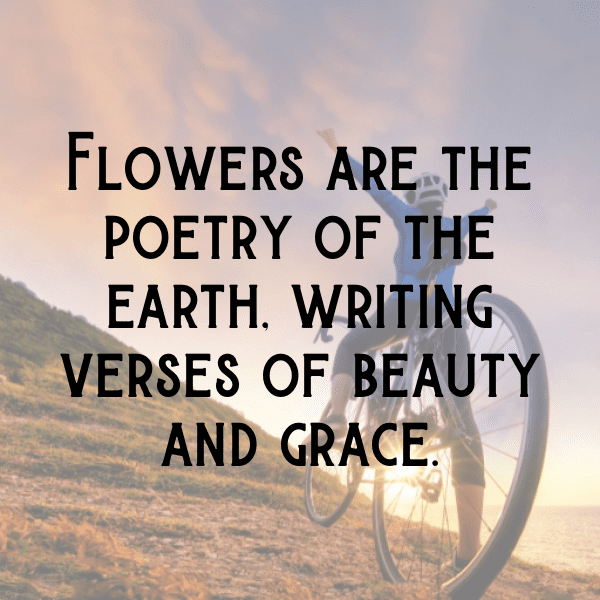 Vinca Captions Photo For Instagram-ImkIg4