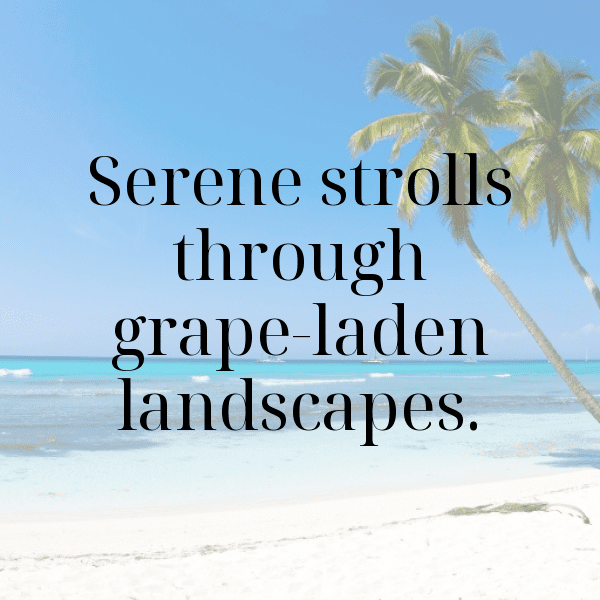 Vineyard Walk Captions Image for Instagram-lUQfjM