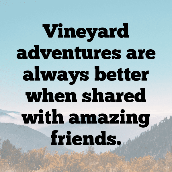 Vineyard Walk Captions Image for Instagram-RNz3yE