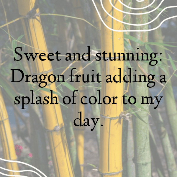 294+ Voavanga Fruit Captions For Instagram (Short, Trending & Viral) 3 Voavanga Fruit Captions Photo For Instagram-C3Td7B