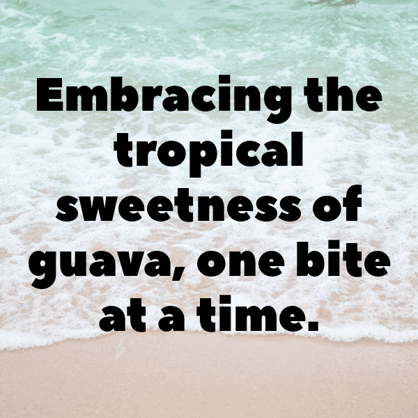 294+ Voavanga Fruit Captions For Instagram (Short, Trending & Viral) 14 Voavanga Fruit Captions Photo For Instagram-L5zAZ6