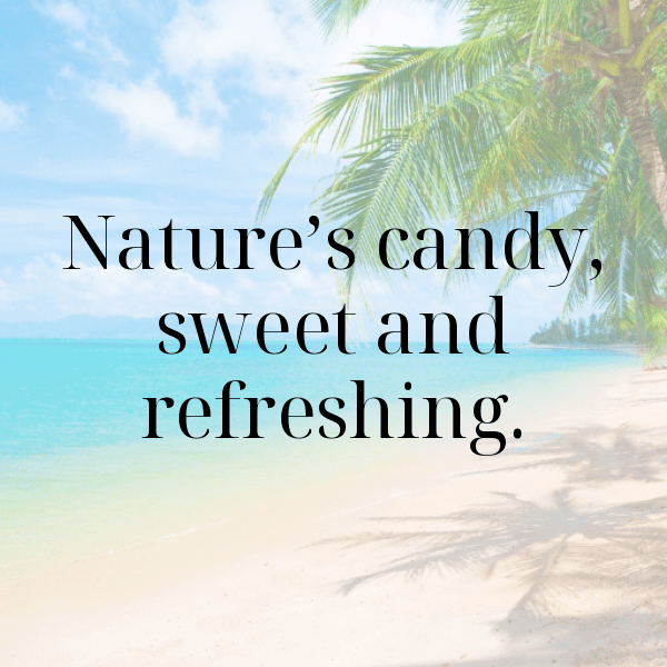 294+ Voavanga Fruit Captions For Instagram (Short, Trending & Viral) 7 Voavanga Fruit Captions Photo For Instagram-VsUKSH