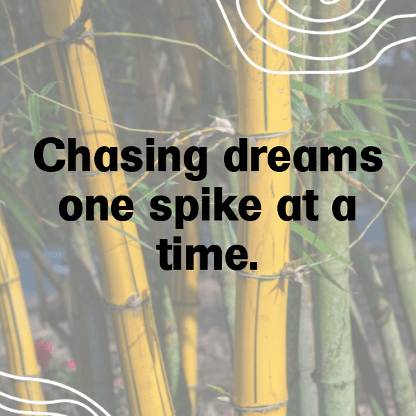 Volleyball Captions Photo for Instagram-8L2ECc