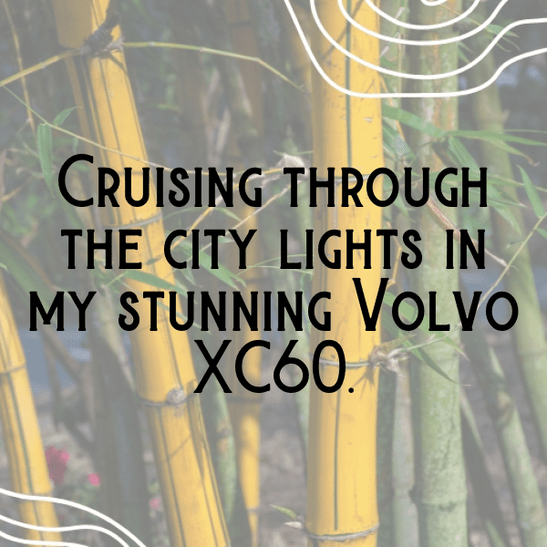 Volvo XC60 Captions Photo for Instagram-g5dLsM