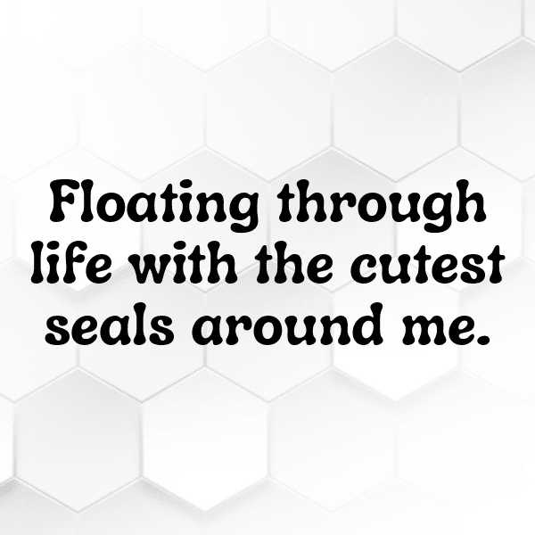 290+ Walrus Captions For Instagram (Trending, Funny & Top) 8 Walrus Captions Photo For Instagram-G9McUV