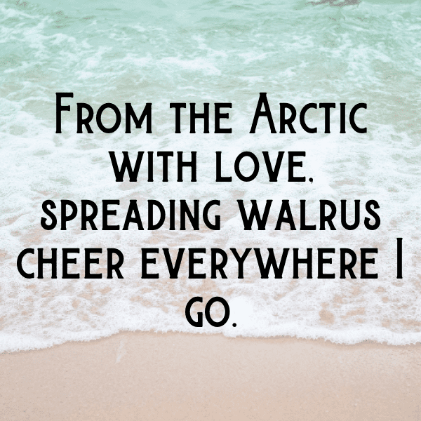 290+ Walrus Captions For Instagram (Trending, Funny & Top) 3 Walrus Captions Photo For Instagram-GxNAiu