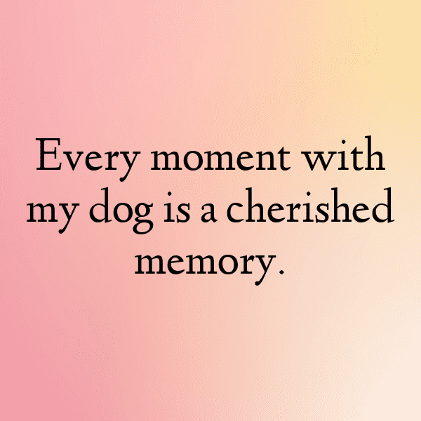 326+ Watch Dogs Captions for Instagram (Short, Trending & Viral) 6 Watch Dogs Captions Photo for Instagram-1K7tI6