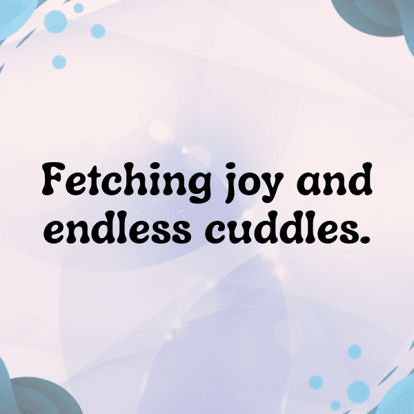 326+ Watch Dogs Captions for Instagram (Short, Trending & Viral) 9 Watch Dogs Captions Photo for Instagram-5YjUC8