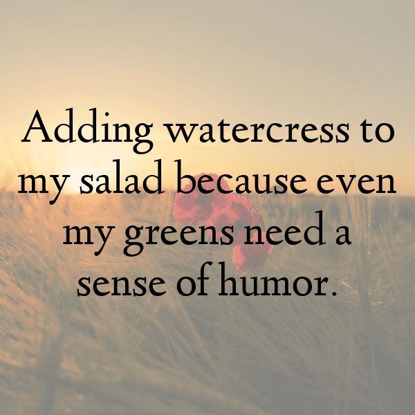 Watercress Captions Image For Instagram-ta1Uub