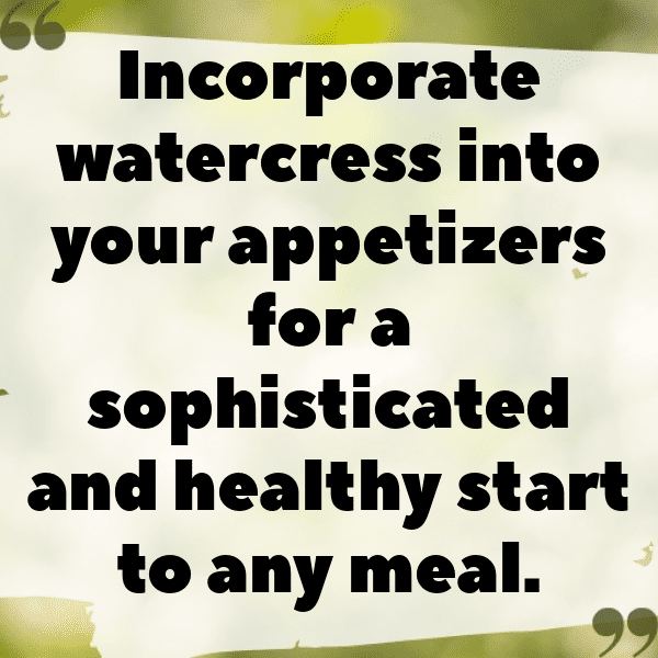 Watercress Captions Photo For Instagram-YQfjJx